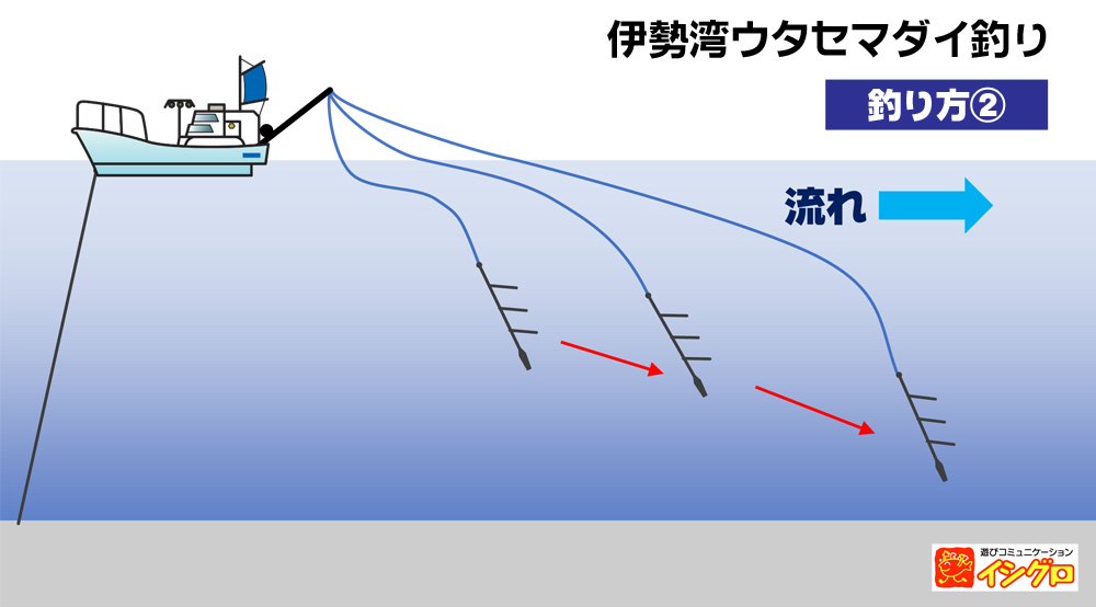 ダイワ 伊勢湾 真鯛攻め ウタセエビ釣り専用 270I www.krzysztofbialy.com